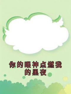 你的眼神点燃我的黑夜免费小说作者神秘人全文阅读