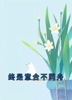 终是意合不同舟大结局阅读 苏澈陆婉小说在线章节
