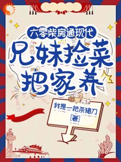 无广告小说六零柴房通现代，兄妹捡菜把家养-苏小小苏进在线阅读-英驰看书网