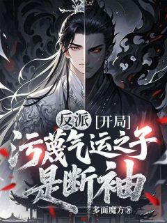 最新小说反派：开局污蔑气运之子是断袖主角叶凡林白全文在线阅读