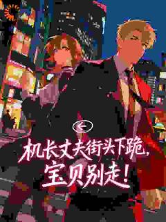 机长丈夫街头下跪，宝贝别走！黎软秦不舟最新章节在线阅读