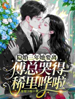 隐婚三年她要离傅总哭得稀里哗啦小说百度云完整章节列表免费阅读