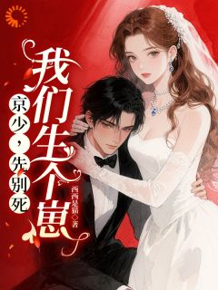 京少，夫人让你过来亲亲小说(完本)-南昭宁京烁无错版阅读