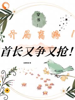 主角是林婉渝傅沉的小说叫什么穿书:开局离婚!首长又争又抢!免费全文阅读