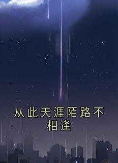 免费完结小说从此天涯陌路不相逢许清禾陆泽川无弹窗免费阅读