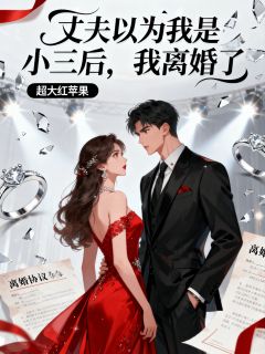 抖音爆款丈夫以为我是小三后,我离婚了完整小说(全文阅读)