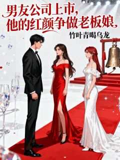 玖日故事写的小说男友公司上市,他的红颜争做老板娘在线阅读