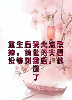 抖音小说重生后我火速改嫁,前世的夫君没等到我后,他慌了,主角林清婉裴玄最后结局小说全文免费