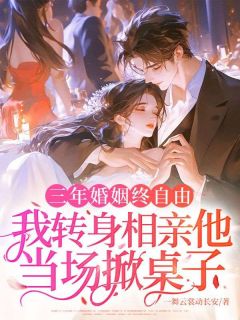 沈瑜陆兆言是哪部小说的主角 三年婚姻终自由,我转身相亲他当场掀桌子全文无弹窗