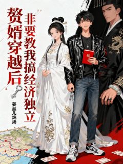 主角是萧澈阮令妤翠玉的小说叫什么赘婿穿越后,非要教我搞经济独立免费全文阅读