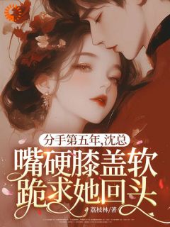 抖音爆款分手第五年，沈总嘴硬膝盖软跪求她回头小说免费阅读