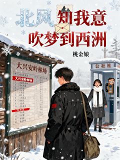 北风知我意,吹梦到西洲免费阅读全文,主角宋知意沈青山小说完整版