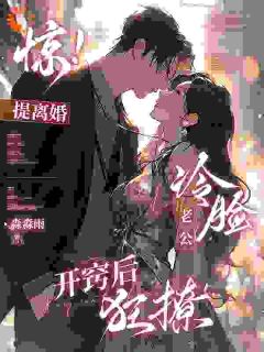 爆款热文沈棠盛南洲在线阅读-惊,提离婚,冷脸老公开窍后狂撩全章节列表