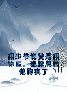 顾诗淇白若风白宏涛全文最新章节正版小说免费阅读