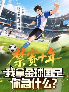 禁赛十年，我拿金球国足你急什么？小说白叶加西亚免费阅读