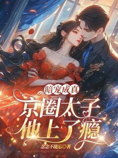 暗宠成真,京圈太子他上了瘾小说_暗宠成真,京圈太子他上了瘾小说结局阅读