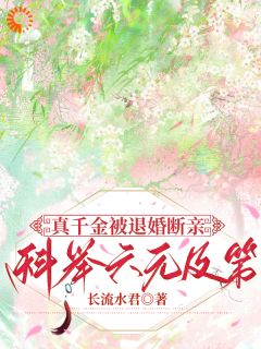 真千金被退婚断亲，科举六元及第小说最后结局，陆昭陆婉婉百度贴吧小说全文免费-英驰看书网