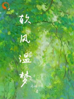 软风温梦by无解方程小说完结版在线阅读