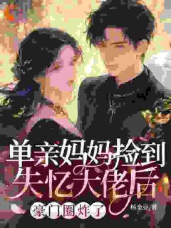 爆款热文许清顾铮在线阅读-单亲妈妈捡到失忆大佬后,豪门圈炸了全章节列表