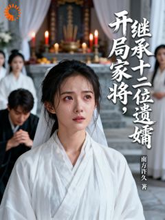 熬夜也要看完的开局家将,继承十二位遗孀小说推荐