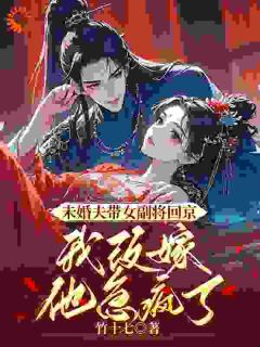 苏岑顾以恒未婚夫带女副将回京,我改嫁他急疯了完结版小说全文免费阅读