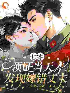 七零，领证当天才发现嫁错丈夫(新书)小说_岳婉卿商时雍阅读