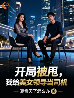 林铮苏沐秋全集小说_开局被甩,我给美女领导当司机完结版阅读