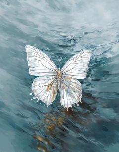 共享公寓维权翻车了小说(完结版)-林睿租客在线阅读