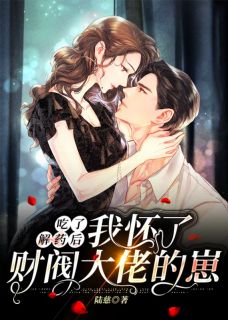 作者陆慈写的吃了解药后，我怀了财阀大佬的崽小说大结局全章节阅读