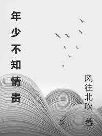 快手年少不知情贵小说全本章节大结局