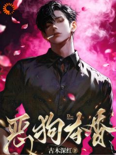 (精品)恶狗夺香小说