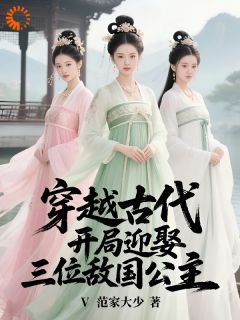 穿越古代，开局迎娶三位敌国公主免费小说作者V范家大少全文阅读