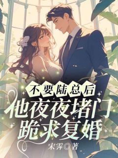 不要陆总后，他夜夜堵门跪求复婚温知妤陆湛小说_不要陆总后，他夜夜堵门跪求复婚完结版阅读-英驰看书网