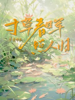 全章节小说寸草春晖,照人归玖日故事最新阅读