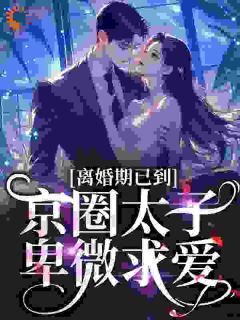 主角沈青瓷席星野小说,夫人她专治不服沈青瓷免费阅读全文-英驰看书网