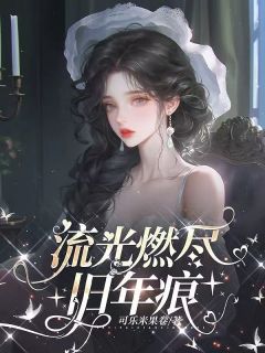 流光燃尽旧年痕秦瑾沈康成小说全文-流光燃尽旧年痕小说-英驰看书网