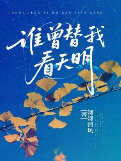 谁曾替我看天明免费小说作者婉婉清风全文阅读