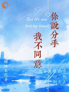 无广告小说一场车祸，把我的人生撞偏航了-方恬林慕哲在线阅读