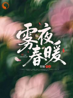 作者贺穗写的雾夜春暖小说大结局全章节阅读