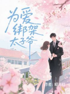 良心推荐为爱绑架太子爷小说试读