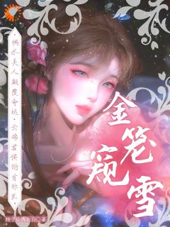 金笼窥雪小说免费阅读 柳汝雪王琰大结局完整版