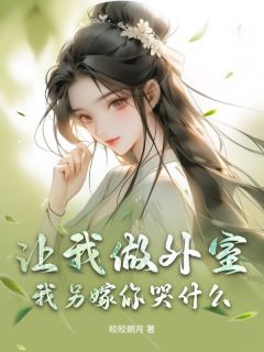 淳静姝顾于景小说哪里可以看 小说让我做外室？我另嫁你哭什么全文免费阅读