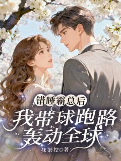 免费完结小说错睡霸总后，我带球跑路轰动全球云微岚秦承弈无弹窗免费阅读