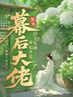强宠！冷王发现弃妃才是幕后大佬小说最后结局，洛晨曦赢王百度贴吧小说全文免费