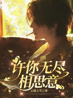 爆款小说由作者云端之雪所创作的许你无尽相思意在线阅读