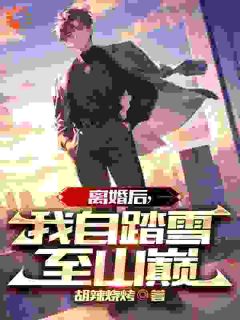 离婚后,我自踏雪至山巅主角是陈天雷苏梦瑶小说百度云全文完整版阅读