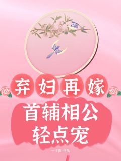 全章节小说弃妇再嫁,首辅相公轻点宠一寸青最新阅读