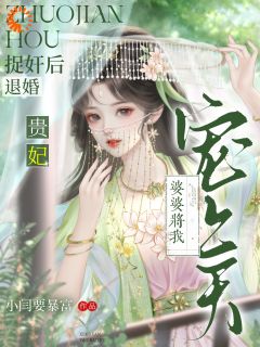 捉奸后退婚:贵妃婆婆将我宠上天崔玉照卢晋颐-小说未删减阅读