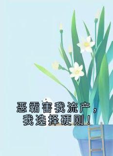 舒愿许瞻远全章节阅读-恶霸害我流产，我选择硬刚！全文分享阅读