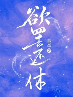 欲罢还休林鸢陆彧大结局小说全章节阅读